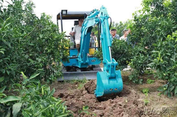 小型挖掘機(jī)綠化